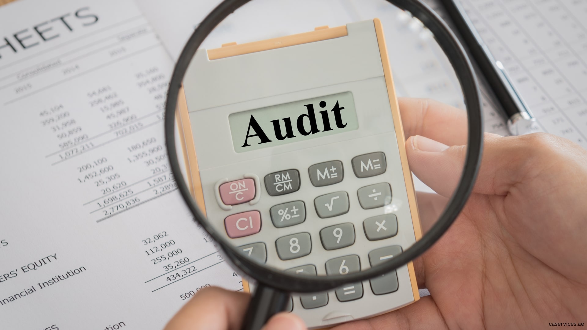 The Role of Auditing in Strengthening Financial Transparency