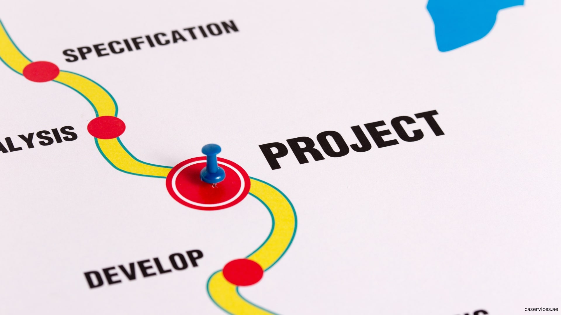 Project Management and Feasibility Studies – The Roadmap to Success