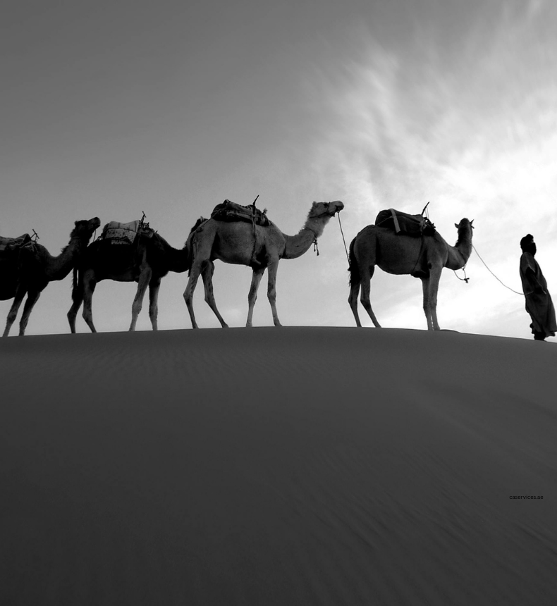 audit tax services in uae